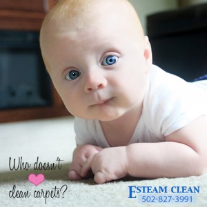 Clean Carpets Bardstown